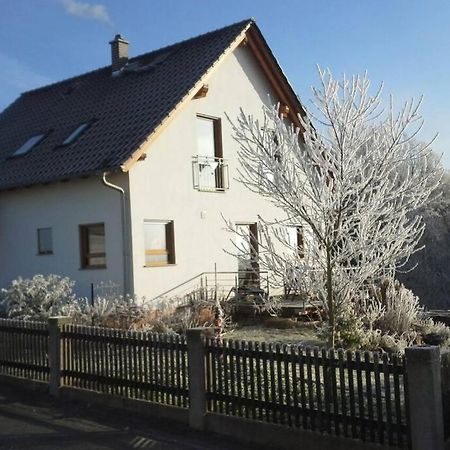Appartment Am Traetzhof Фульда Экстерьер фото